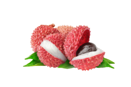 Litchi