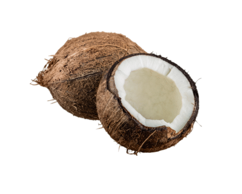 patnakart-Coconut