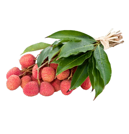 Shahi Litchi Muzaffarpur