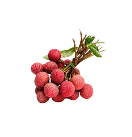 Shahi Litchi Muzaffarpur