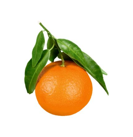 Oranges (Santra)